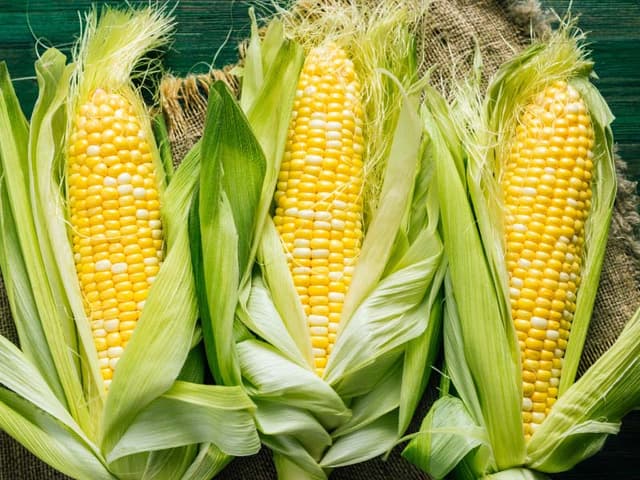 Corn